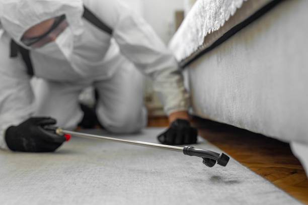 Professional Ant Control technician working in East Bernard, TX