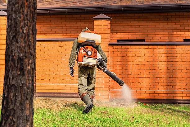 Trusted Ant Control service in East Bernard, TX - Nex Pest Control